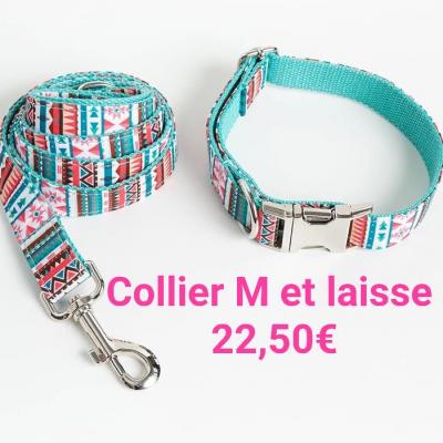 Collier et laisse M