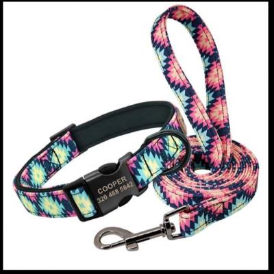 Collier Chien + laisse Taille L