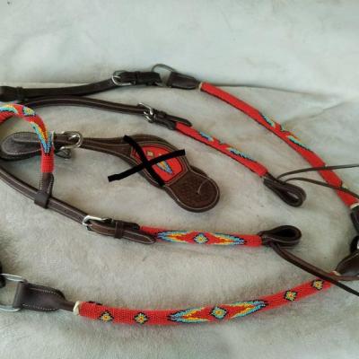 Fiket et collier de chasse