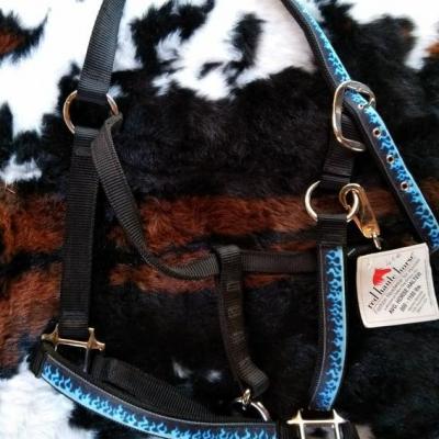 Licol  Flammes bleu