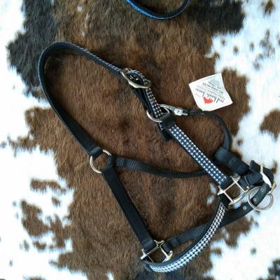 Licol Pied de Poule Taille cheval