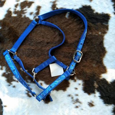 Licol Bandana Bleu