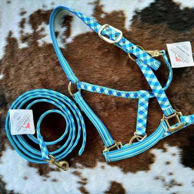 Licol Jacquard Bleu/Vert