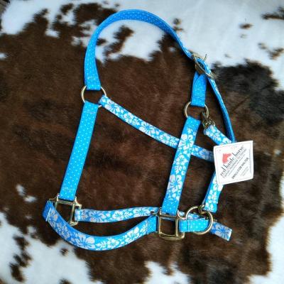 Licol  Island fleurs bleu Taille Small/Cob
