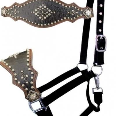 Licol bronc Gator noir