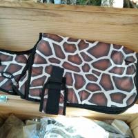 Girafe