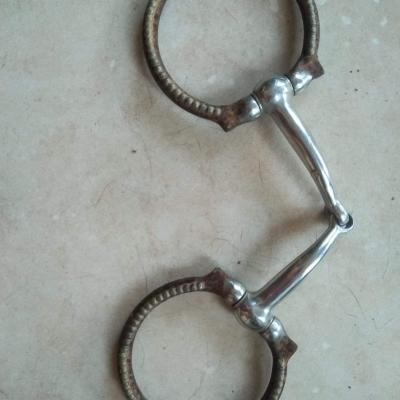 Snaffle occasion