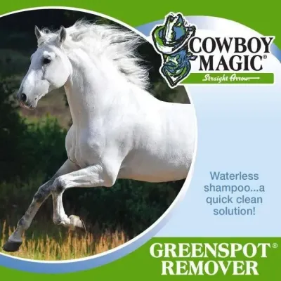 Green Spot Remover